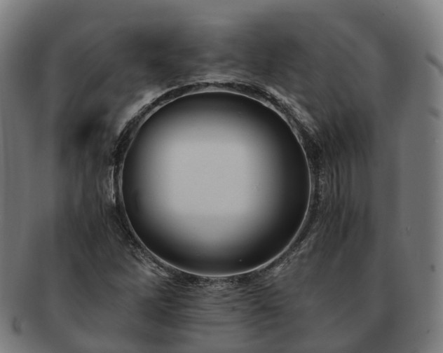 X0000091711262200708311108