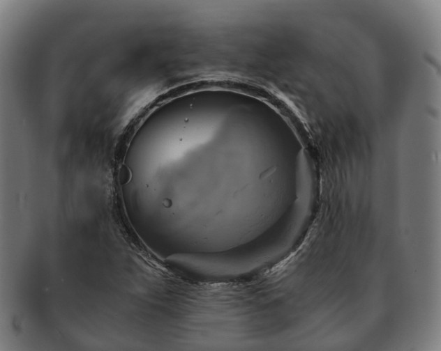 X0000091711263200708311108