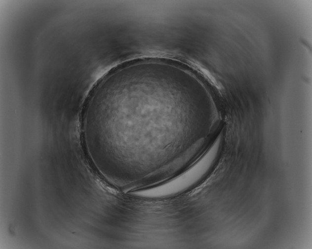 X0000091711264200708311108