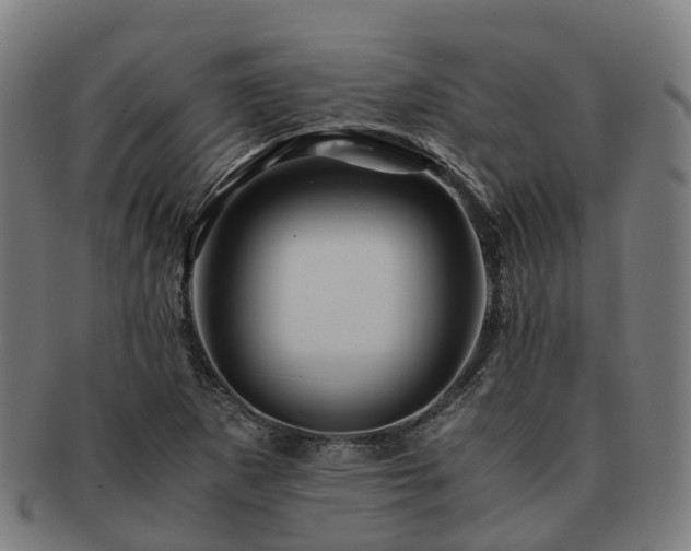 X0000091711265200708311108