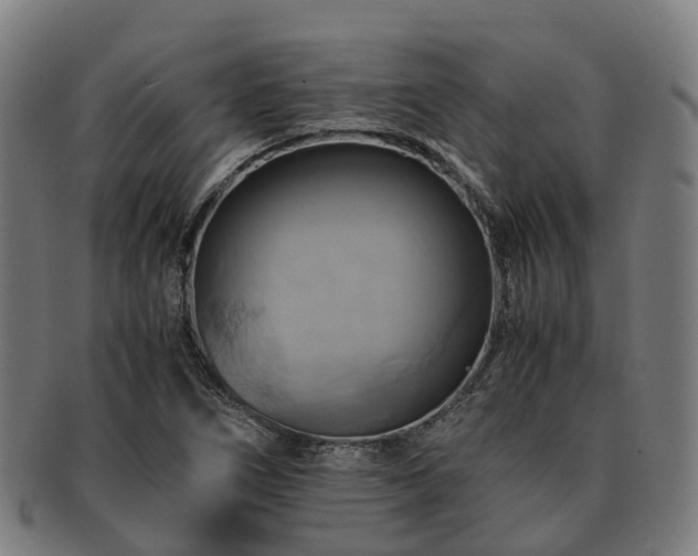 X0000091711266200708311108