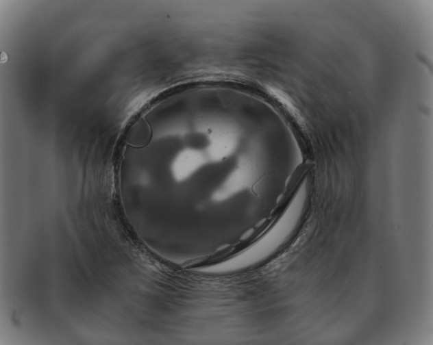 X0000091711267200708311108