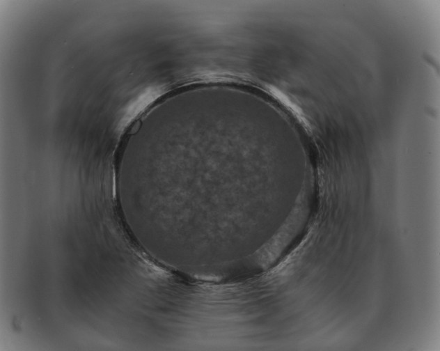 X0000091711269200708311108