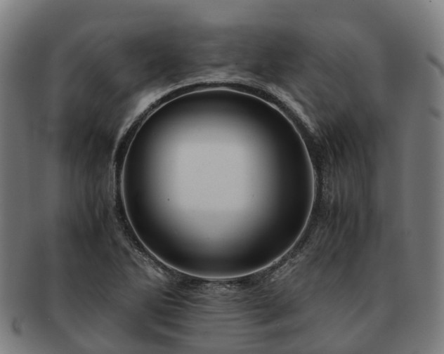 X0000091711270200708311108