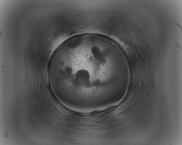 X0000091711271200708311108