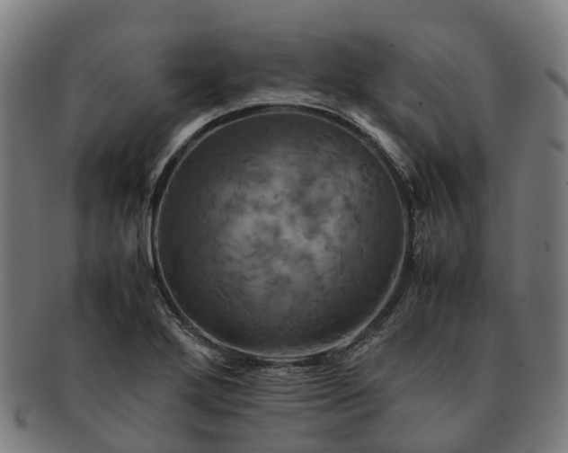 X0000091711272200708311108