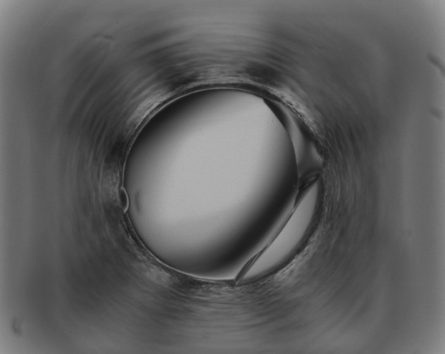 X0000091711273200708311108