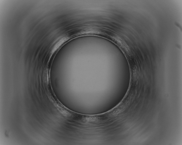 X0000091711274200708311108