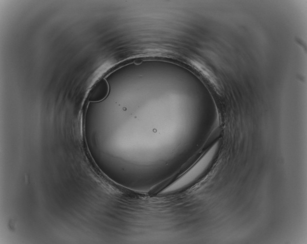 X0000091711275200708311108