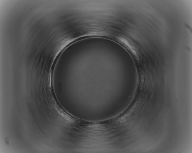 X0000091711276200708311107