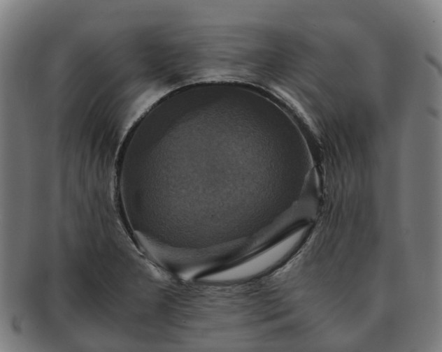 X0000091711277200708311107