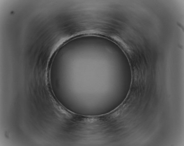 X0000091711278200708311107