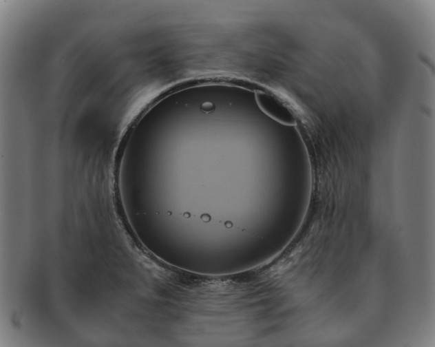 X0000091711279200708311107