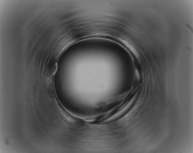 X0000091711281200708311107