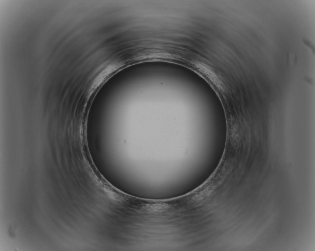 X0000091711282200708311107