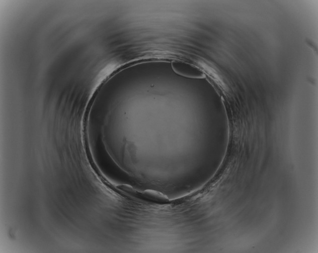 X0000091711283200708311107