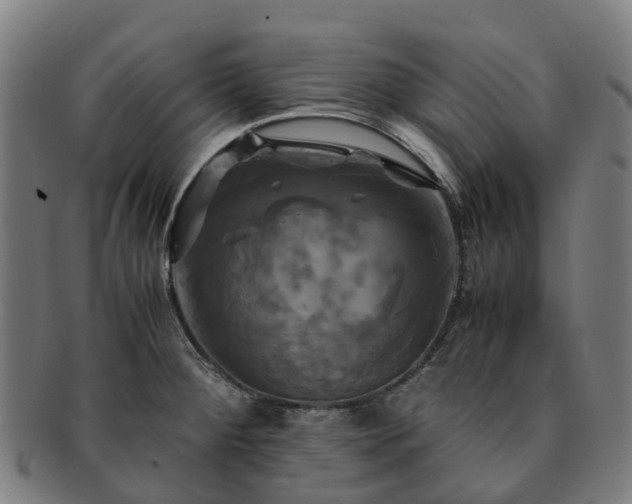 X0000091711284200708311107