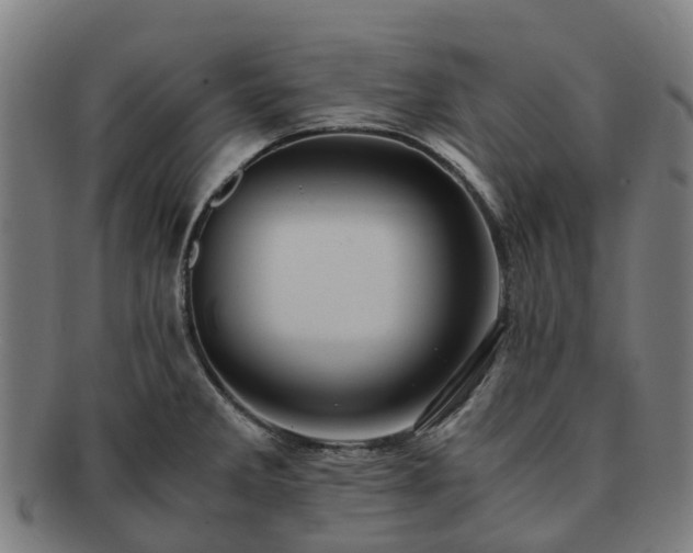 X0000091711285200708311107