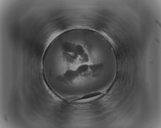 X0000091711287200708311107