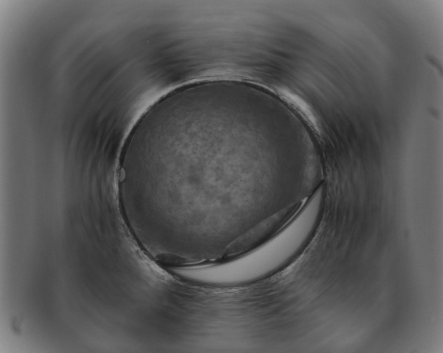 X0000091711288200708311107