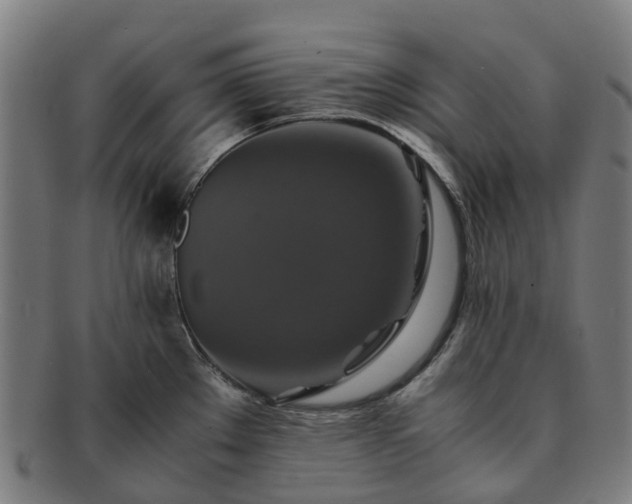 X0000091711289200708311107