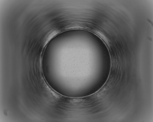 X0000091711290200708311107