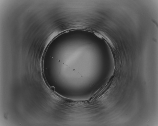 X0000091711291200708311107