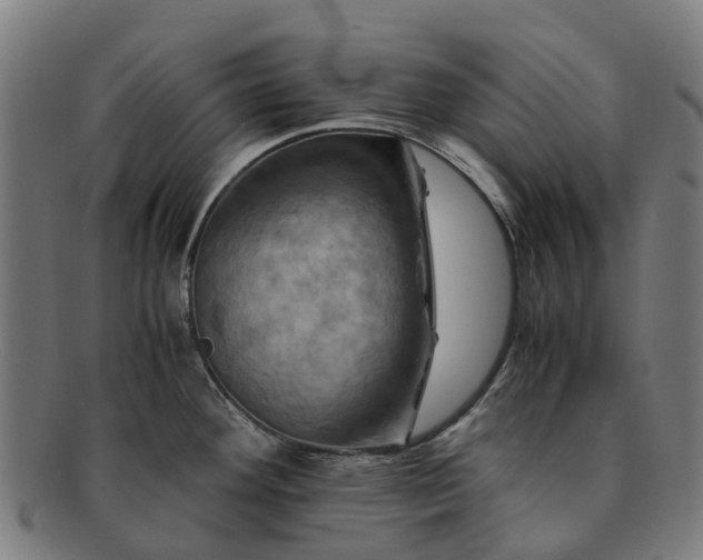 X0000091711292200708311107