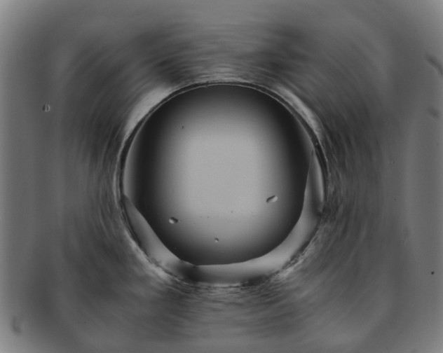 X0000091711293200708311107