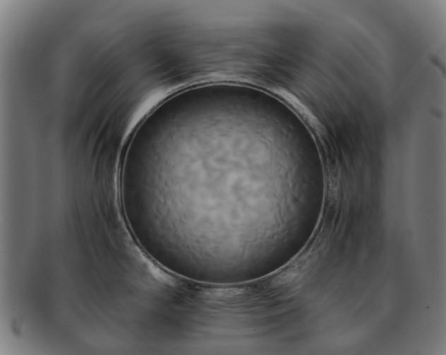 X0000091711294200708311107