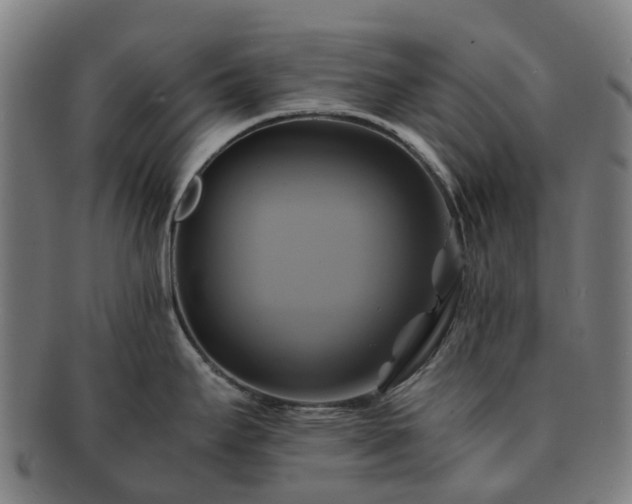 X0000091711295200708311107