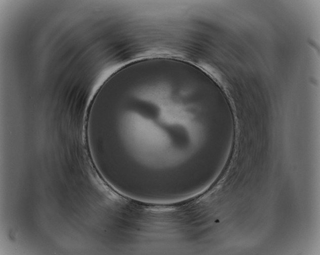 X0000091711296200708311107