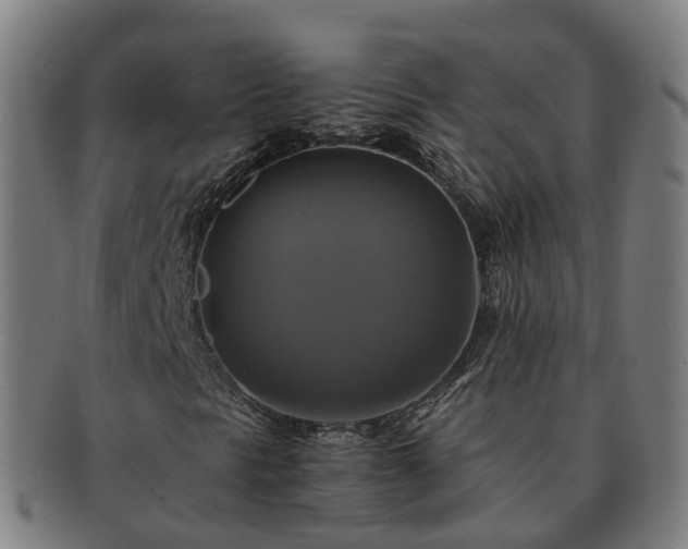 X0000091711297200708311106