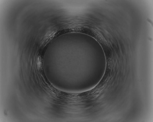 X0000091711298200708311106