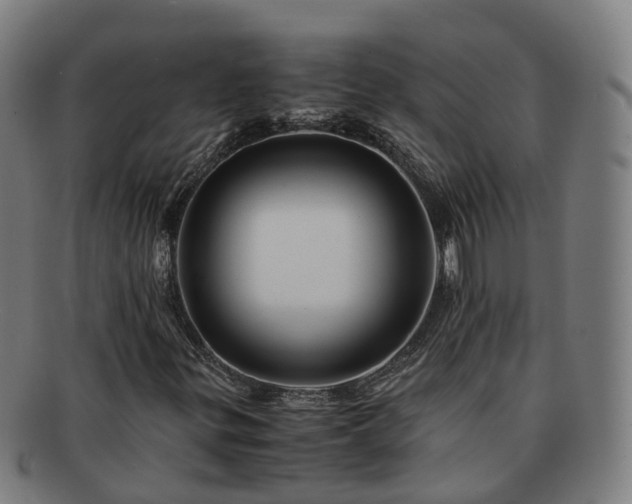 X0000091711299200708311106