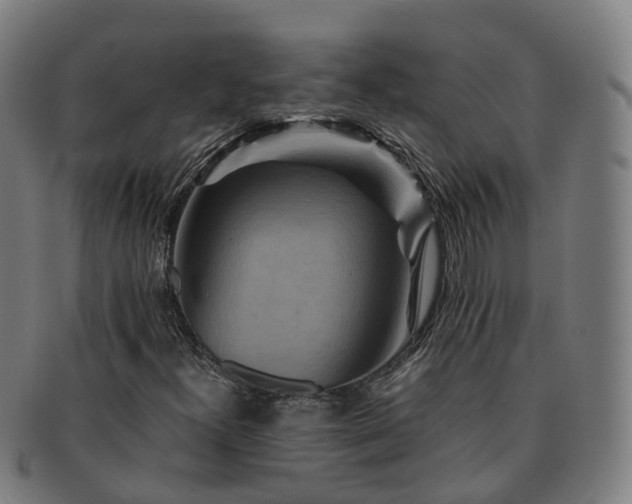 X0000091711300200708311106