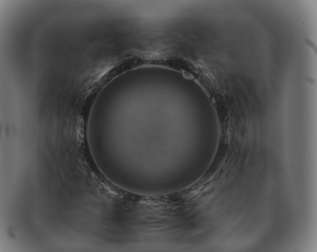 X0000091711301200708311106