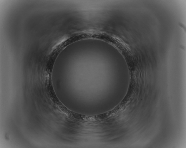 X0000091711302200708311106