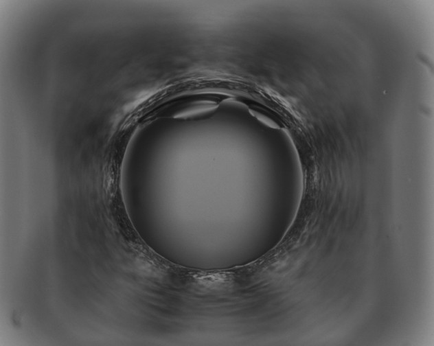 X0000091711303200708311106