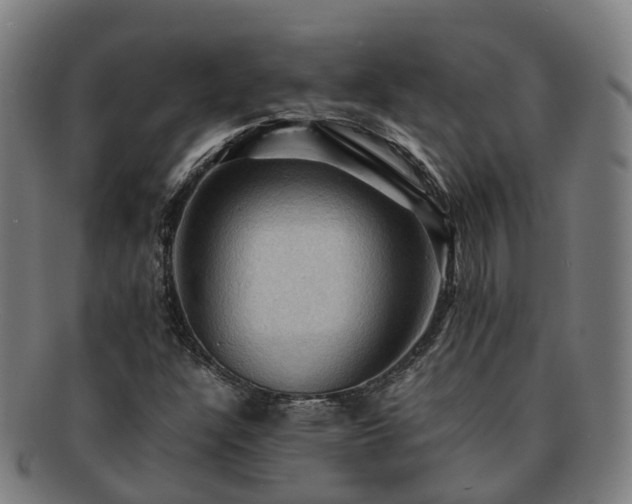 X0000091711304200708311106