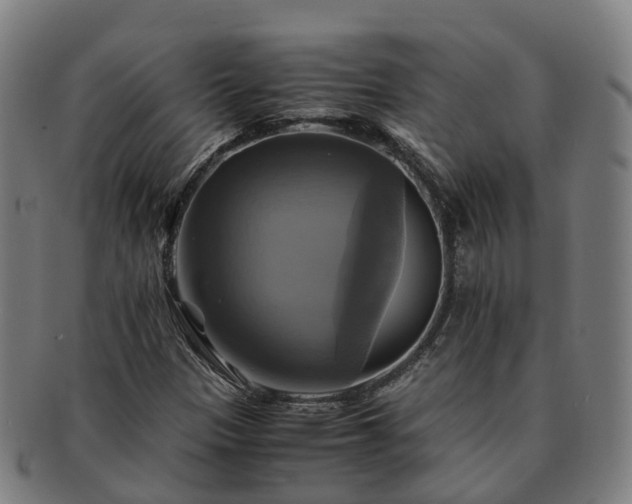 X0000091711305200708311107