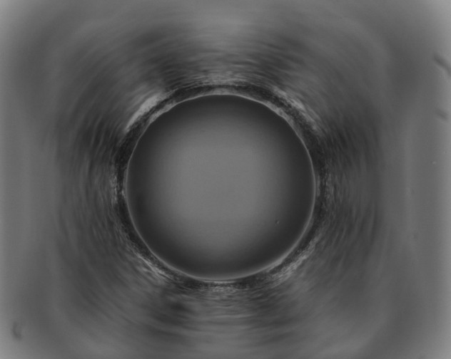 X0000091711306200708311107