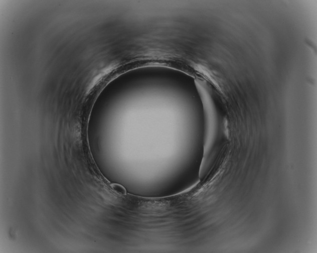 X0000091711307200708311107