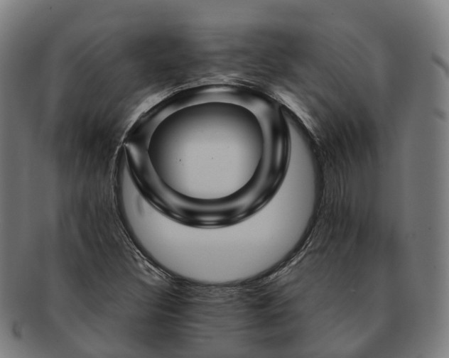 X0000091711308200708311107