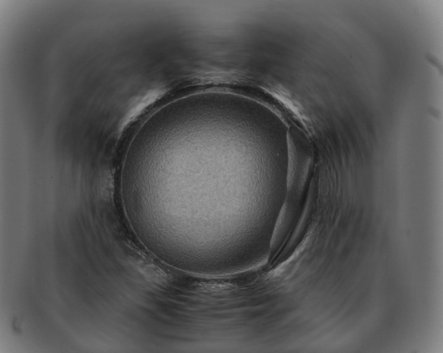 X0000091711309200708311107