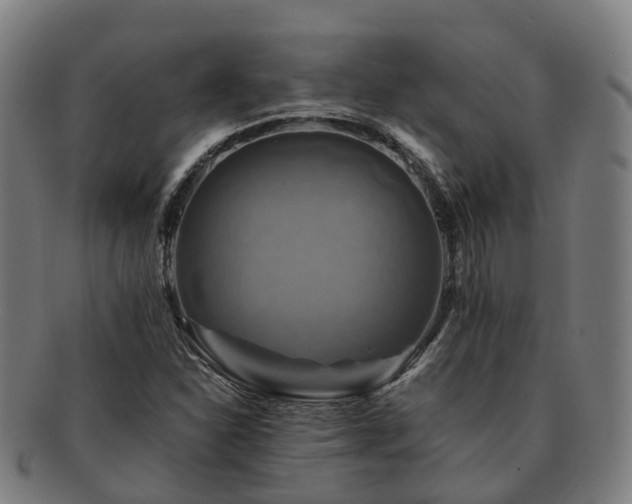 X0000091711310200708311107