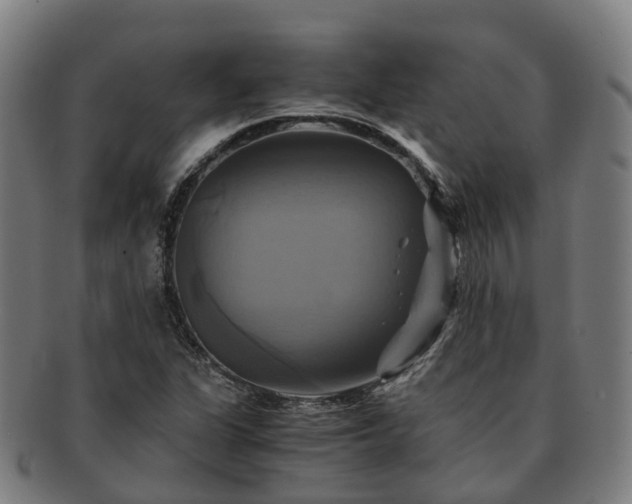 X0000091711311200708311107