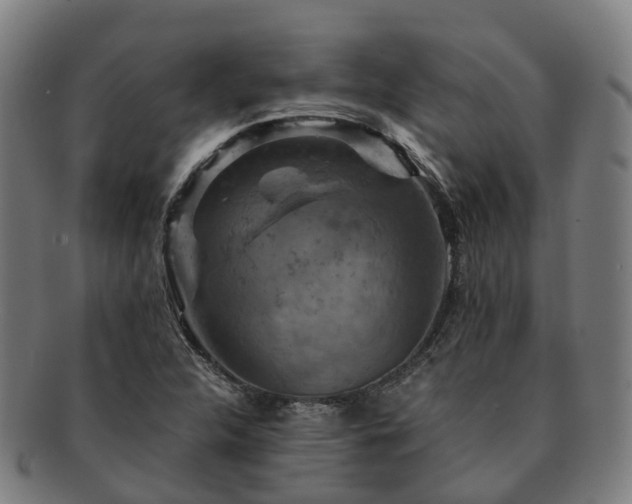 X0000091711312200708311107