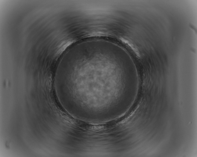 X0000091711313200708311107