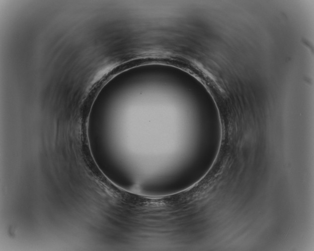 X0000091711315200708311107